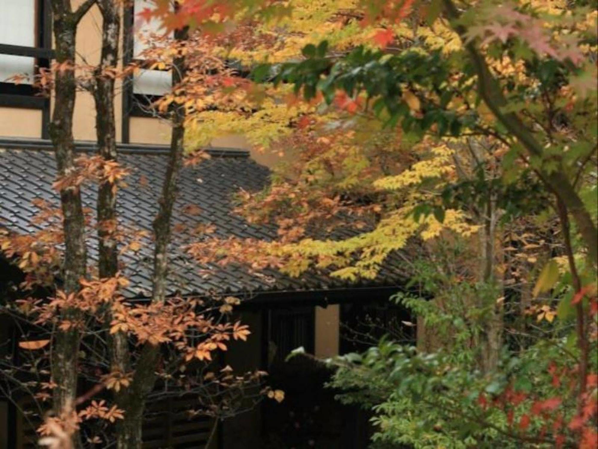 Ryokan Wakaba Minamioguni Exteriér fotografie